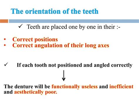 Arrangement And Setting Teeth On The Articulator Ppt
