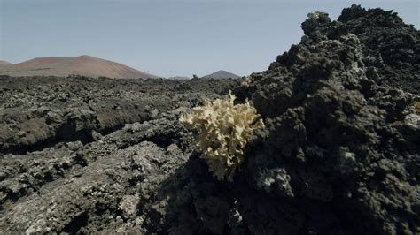 Volcanic landscape of Timanfaya National Park 28679673 Stock Video at Vecteezy