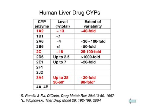 PPT - ROLE OF CYP ENZYMES IN HEPATIC DRUG METABOLISM PowerPoint ...