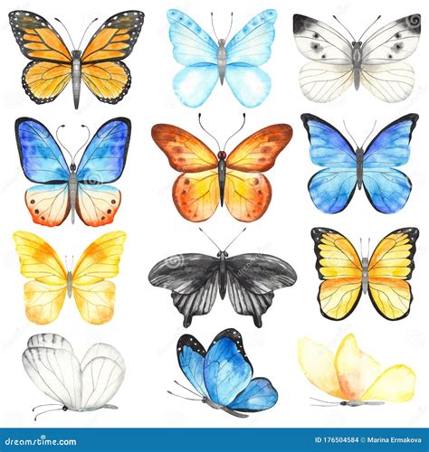 Watercolor Set With Multicolored Butterflies Hand Painted Clipart