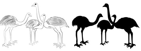 Emu Silhouette 540281 Vector Art at Vecteezy