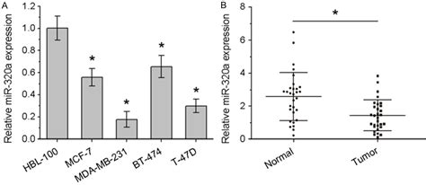 Figure From Microrna A Inhibits Proliferation And Invasion Of