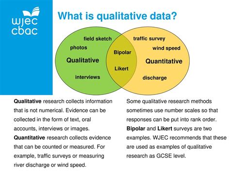 Qualitative Data Definition