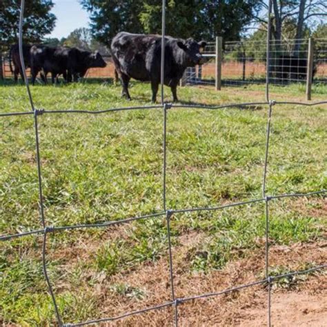 High Quality Electric Fence Energizer Cattle Deer Fence On Farm For Goat Cattle Deer Using Made