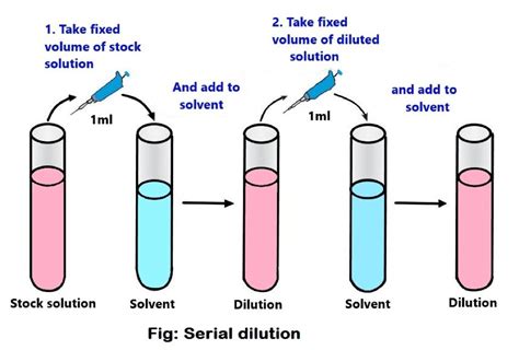 Dilution Assays At Romanafhiseyo Blog