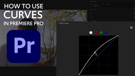 HOW To Use CURVES In Premiere Pro YouTube