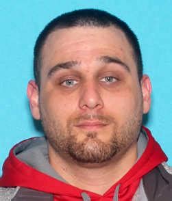 Michigan Registered Sex Offenders Homefacts