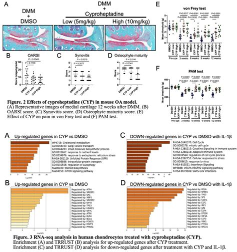 Histamine H Receptor Inhibition With Cyproheptadine Reduces