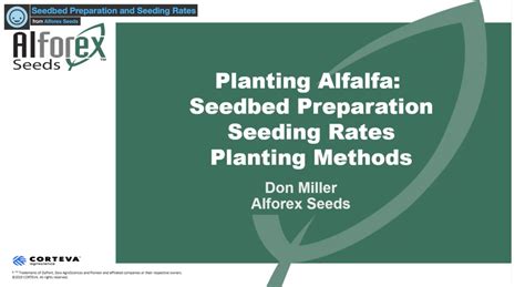 Ask The Alfalfa Expert Alforex Seeds Alfalfa And Forage Questions Blog