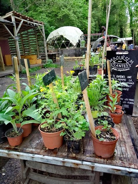 Bourse Aux Plantes Et Graines Les Jardins Respectueux