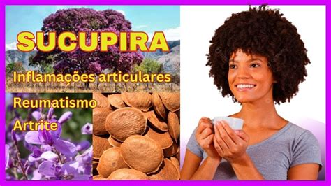 Sucupira A Solu O Natural Para Dores E Inflama Es Cura Pelas