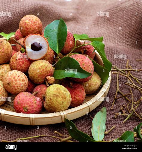 Fruit Trees - Home Gardening Apple, Cherry, Pear, Plum: Brown Litchi ...