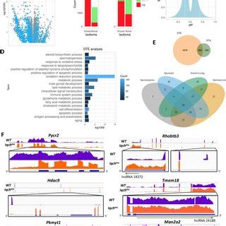 Differential Transcript Expression Dte And Differential Transcript