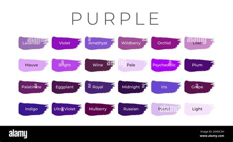 Purple Paint Color Swatches With Shade Names On Brush Strokes Stock