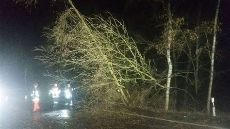 Bäume drohen auf Werner Straße zu stürzen Bergkamener Infoblog