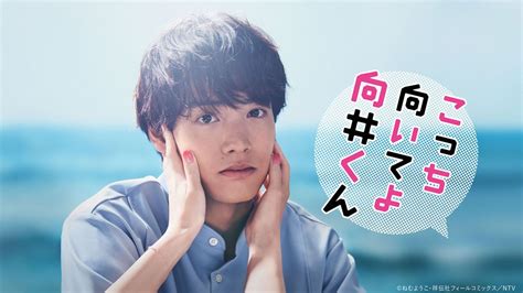 「こっち向いてよ向井くん」huluオリジナルストーリー「向井をフッた女たち」＆「こっち向いてよ美和子さん」配信決定！ Cinemas＋