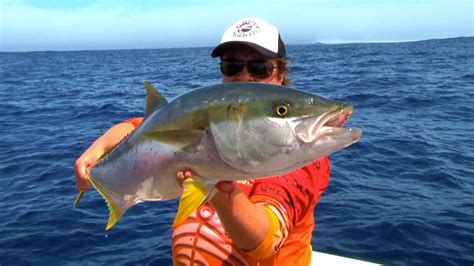 Yellowtail Kingfish - Perth Fishing TV v3