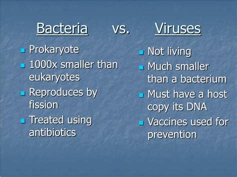 Ppt Bacteria And Viruses Powerpoint Presentation Free Download Id687515