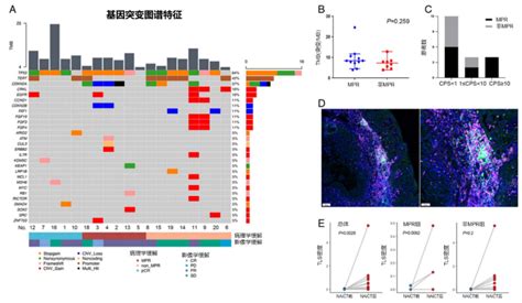 Mpr率达60，2年os率达95！特瑞普利单抗联合化疗新辅助治疗局部晚期可切除口腔鳞状细胞癌最新进展医药新闻 Bydrug 一站式医药资源