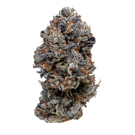 Rapper Weed Purple Lotus