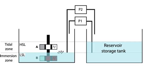 Experimental Setup For The Accelerated Corrosion Test Download Scientific Diagram