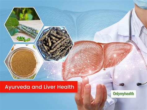 Ayurveda And Liver Health Ayurvedic Herbs And Remedies For Liver Problems Onlymyhealth