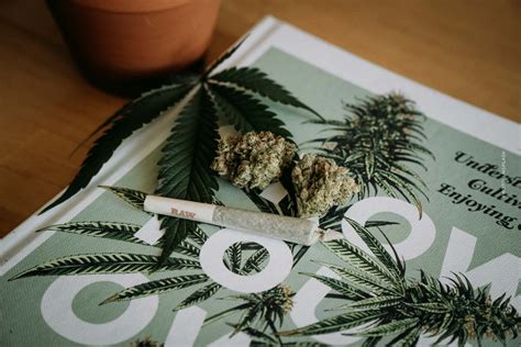 Cannabis Legalisierung In Deutschland Wie Kaufen E Apotheke Cannabis