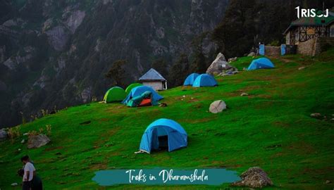 4 Esay Treks In Dharamshala Himachal Pradesh Trisoj