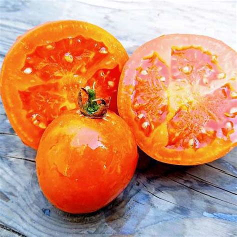 Moonglow Tomato Meraki Seeds