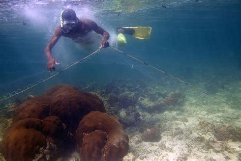 luca zanetti :::: photographer :: reportage :: santa cruz del islote