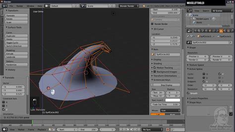 Tutorial Blender Nurbs Curves Fill YouTube