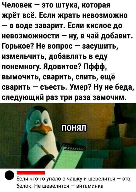 Человек | Пикабу