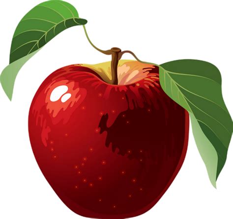 Pomme Png Tube Red Apple Png Apfel Manzana Png