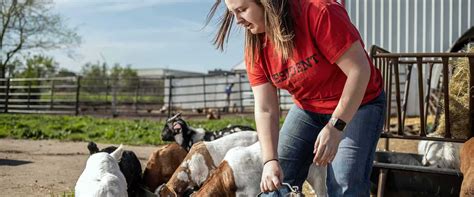 Veterinary Science CDE Evolves In 2023 National FFA Organization