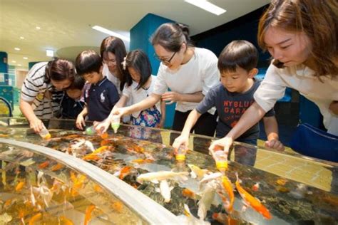 50% Off! Lotte World and Lotte World Aquarium Discount Ticket | INDIWAY