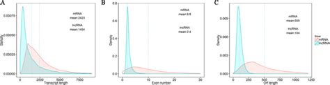 Genomic Features Of Predicted Lncrnas A Length Distribution Of