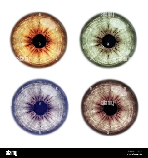 Set With Different Color Eyes On White Background Stock Photo Alamy