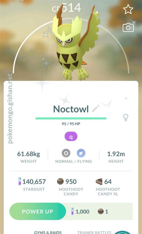 Noctowl Pokemon Go