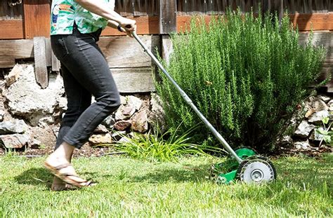 These lawn care tools will keep your yard lush and green for longer