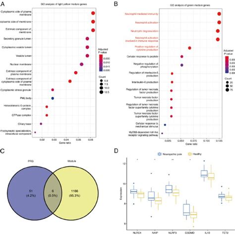 Identification And Analysis Of Key Module And Pyroptosis Related Module