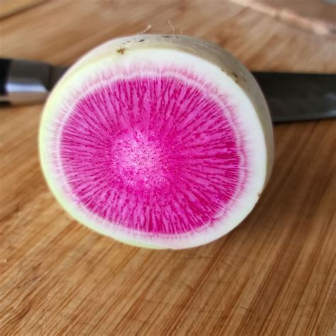 What Is Watermelon Radish Butter N Thyme