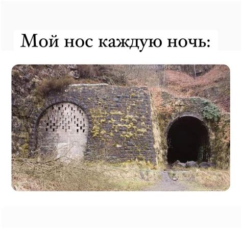 Заложенность носа | Пикабу