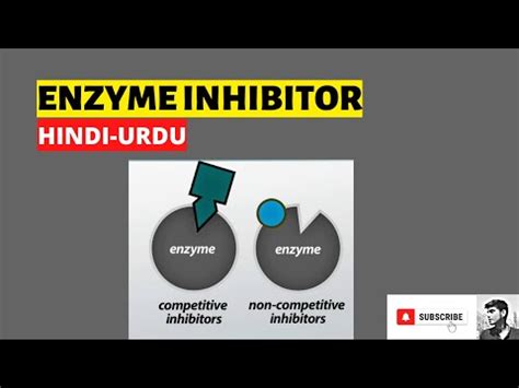 Enzyme Inhibitor Competitive Inhibitor Non Competitive Inhibitor