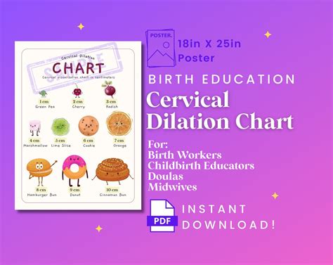 CERVICAL DILATION CHART Exam Room Poster Birth Education Chart