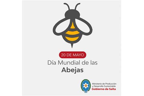 Noticia Hoy Es El Día Mundial De Las Abejas