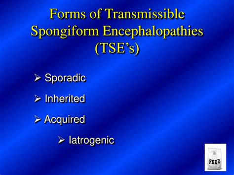 PPT Transmissible Spongiform Encephalopathies TSEs PowerPoint