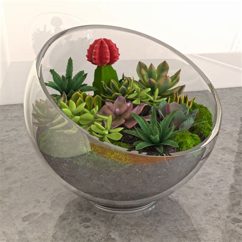 Succulents In Glass Bowl Glass Designs