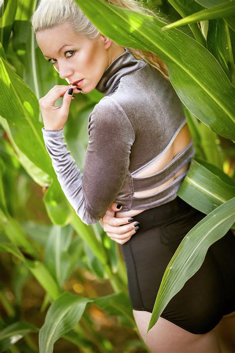 Blonde Cornfield Grey Look Back Photograph By Norbert Waldorf Fine