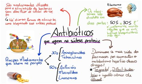 Mapa Mental Antimicrobianos Farmacologia I Porn Sex Picture