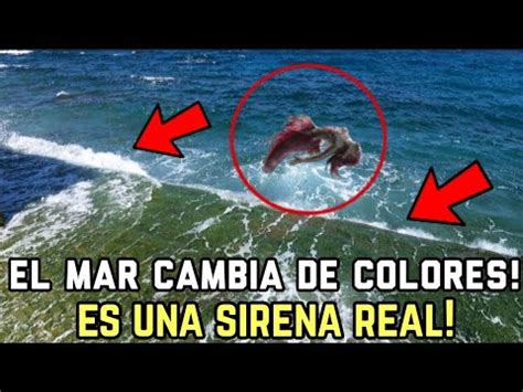 Sirena Real Captada Tienes Que Ver Esto El Canto De Las Sirenas Parte